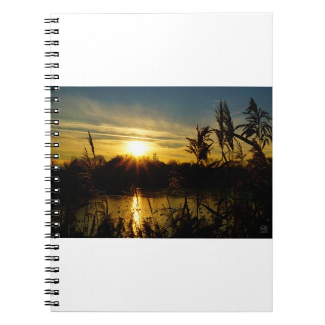 Sunset by a small lake with reed plumes. notebook (Front)