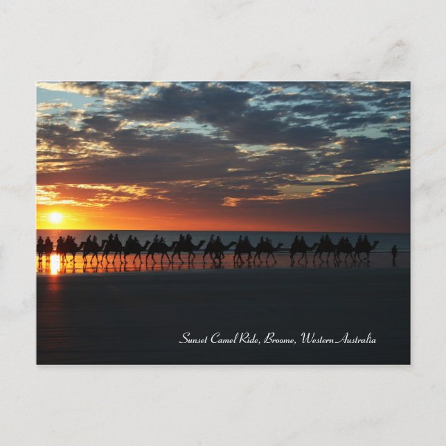 Sunset Camel Ride, Broome, Western Australia Postcard (Front)