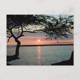 Sunset Carmel, Ca. Postcard