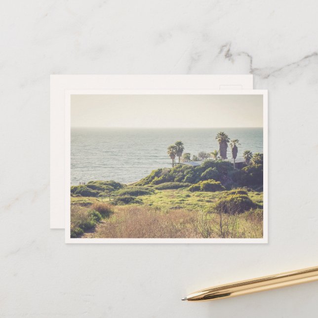 Sunset Cliffs Point Loma San Diego Palm Trees Postcard (Front/Back In Situ)