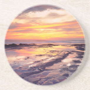 Sunset Cliffs tide pools Coaster