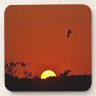 Sunset Coaster