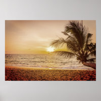 Sunset Coconut Palm on the Beach