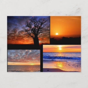 Sunset Collage Postcard
