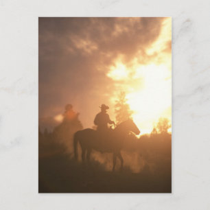 Sunset Cowboy Postcard