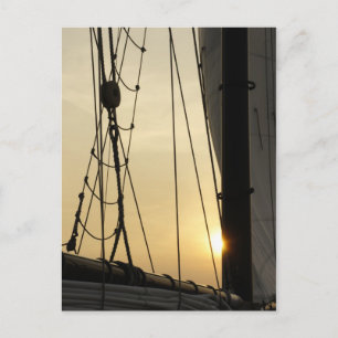 Sunset Cruise Postcard