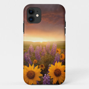 Sunset Daisies iPhone 11 Case