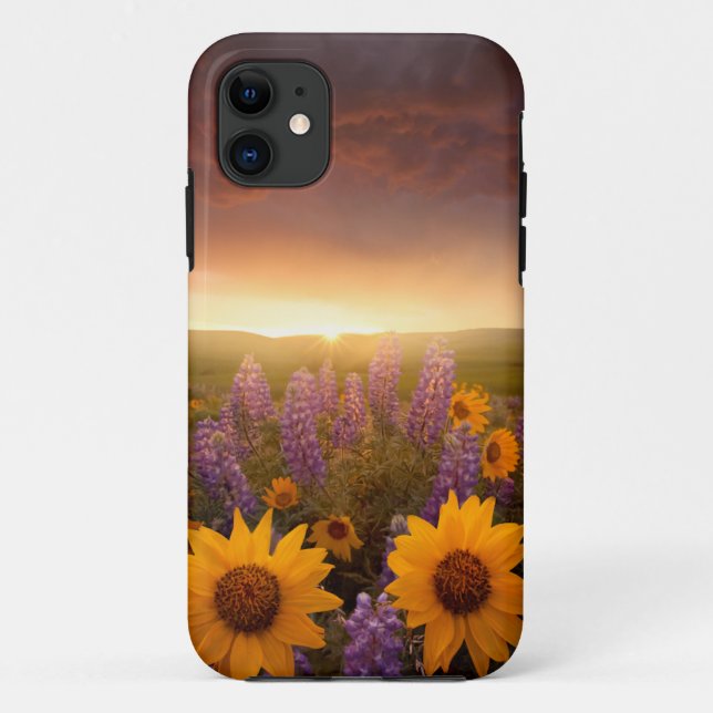 Sunset Daisies Case-Mate iPhone Case (Back)