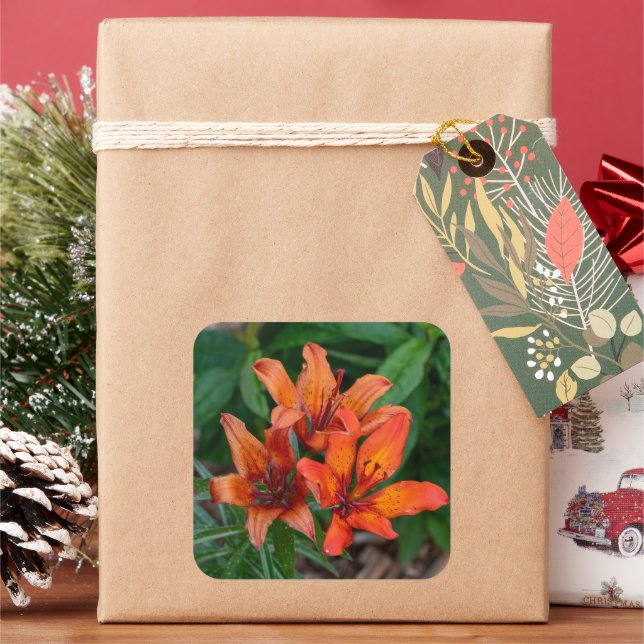 Sunset Day Lily – Warm Petal Glow Square Sticker (Holiday)