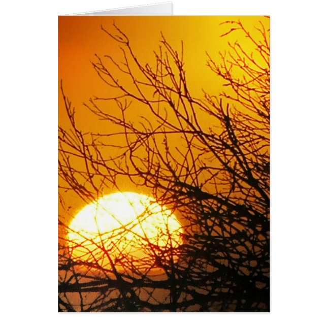 Sunset Delights Card (Front)