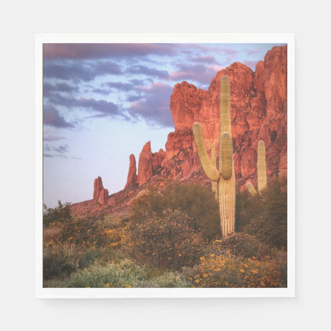Sunset Desert Arizona State Napkin (Front)