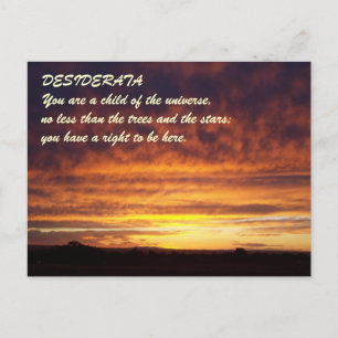 Sunset DESIDERATA Postcard