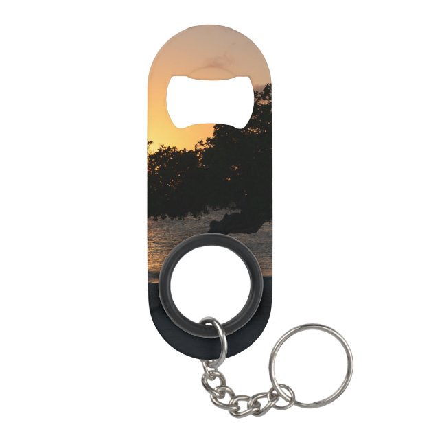 Sunset Divi Divi Tree (Back)