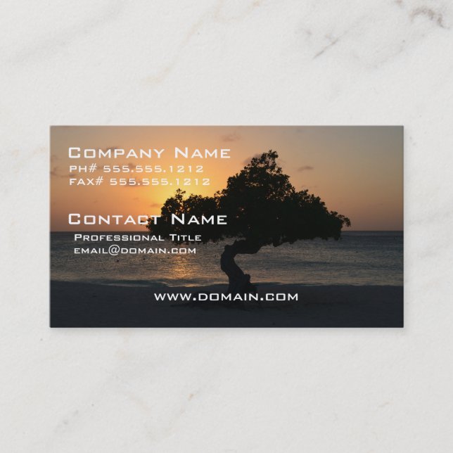 Sunset Divi Divi Tree Business Card (Front)