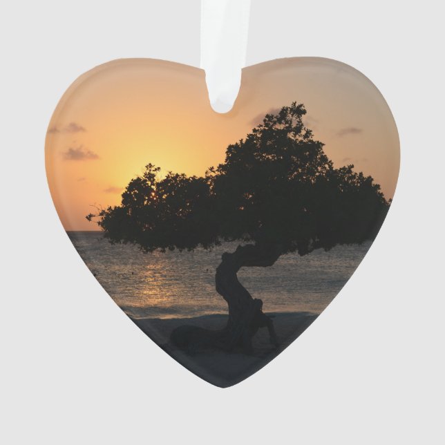 Sunset Divi Divi Tree Ornament (Back)