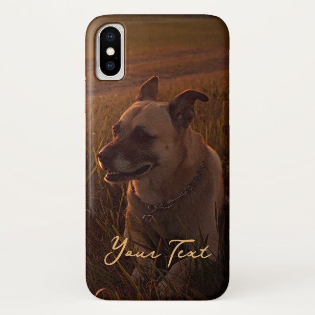 Sunset Dogs Art Photography Case-Mate iPhone Case (Back)