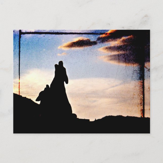 Sunset Dreams Postcard (Front)