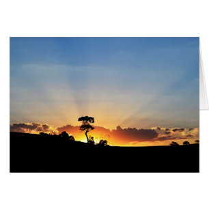 Sunset Farm Londrina