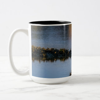 Sunset Gaze 11 oz or 15 oz Mug