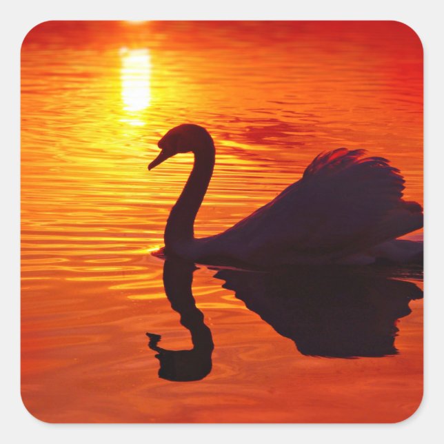 Sunset Glow with Swan Square Sticker (Front)