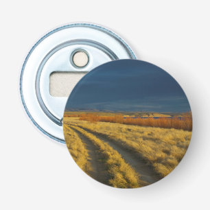 Sunset highlights the red bark of bushes bottle opener
