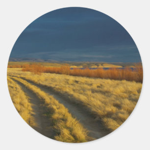 Sunset highlights the red bark of bushes classic round sticker