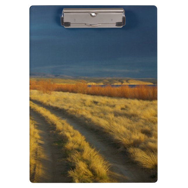 Sunset highlights the red bark of bushes clipboard (Front)