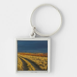 Sunset highlights the red bark of bushes key ring