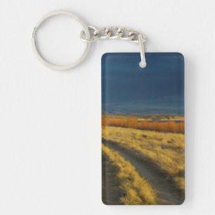 Sunset highlights the red bark of bushes key ring