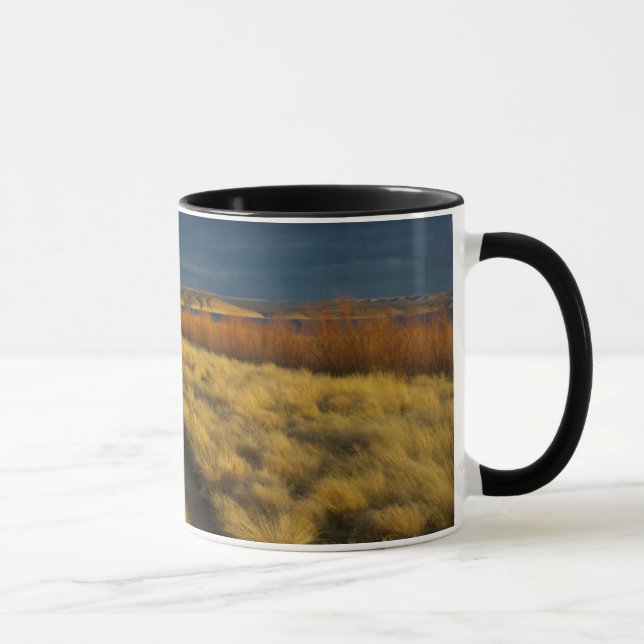 Sunset highlights the red bark of bushes mug (Right)