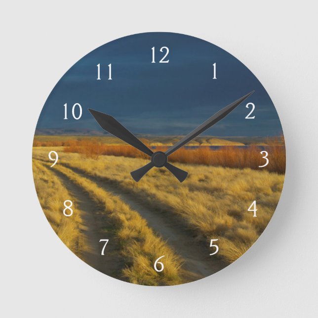 Sunset highlights the red bark of bushes round clock (Front)