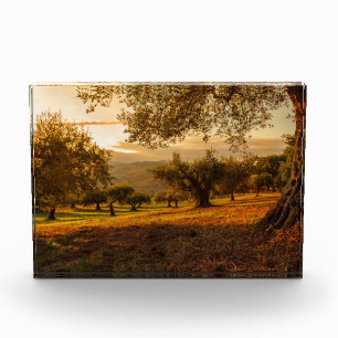 Sunset Hills Autumn Trees Photo Block