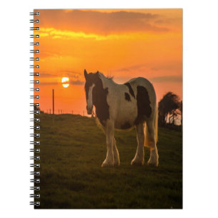 Sunset Horse Notebook