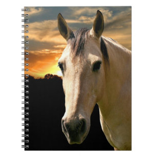 Sunset horse notebook