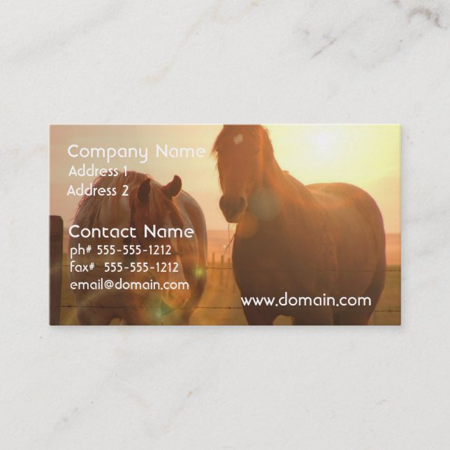 Sunset Horses  Business Card (Front)