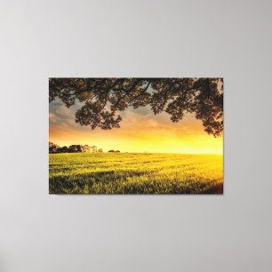 Sunset in a Rural Field Landscape Canvas Print