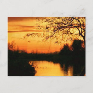 Sunset in az in orange and black postcard