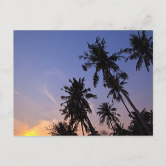 Sunset in Koh Chang Thai palm trees Postcard