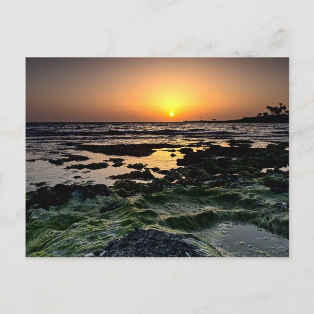 Sunset in Paphos, Cyprus (2512)  Postcard (Front)