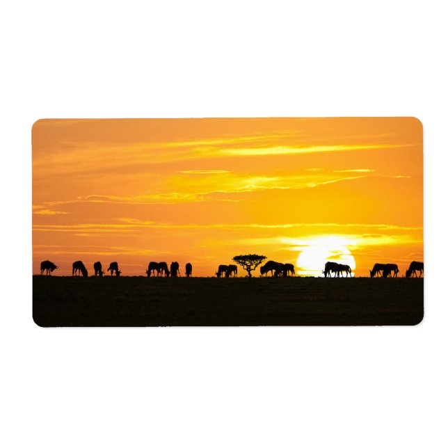 Sunset in Serengeti (Front)