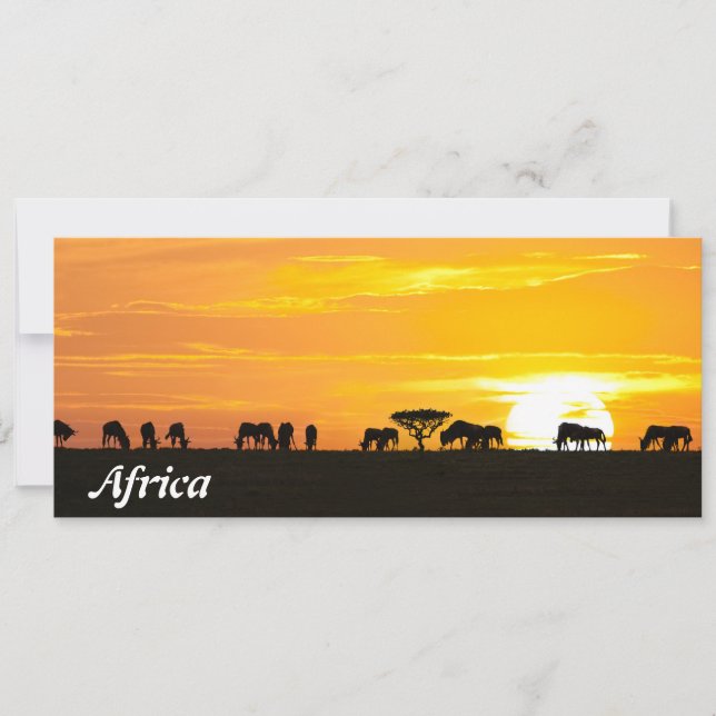 Sunset in Serengeti (Front)