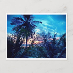 Sunset in Siquijor Postcard