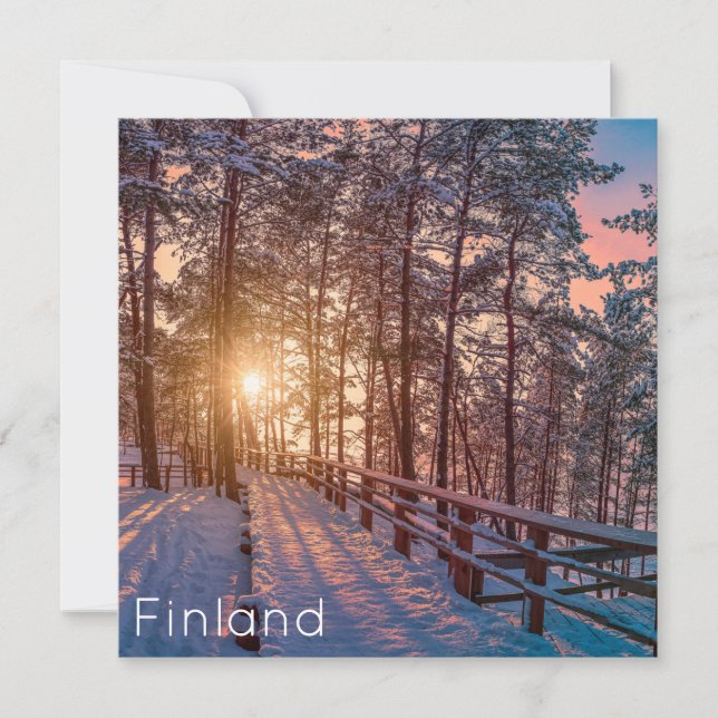 Sunset in snowy pine forest with sun ray (Front)