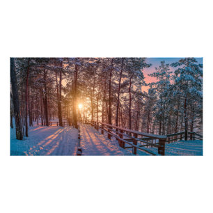 Sunset in snowy pine forest with sun ray photo print