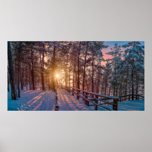 Sunset in snowy pine forest with sun ray poster