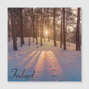 Sunset in snowy winter pine forest