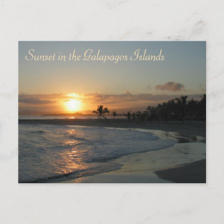 Sunset in the Galapagos Islands Postcard