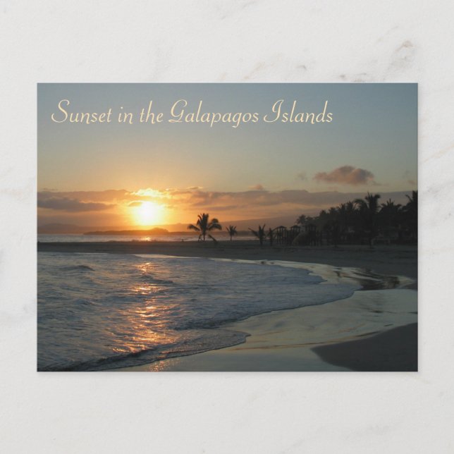 Sunset in the Galapagos Islands Postcard (Front)