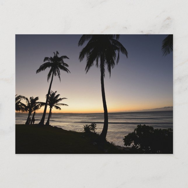 Sunset in the Philippines Postcard (Front)