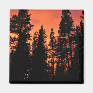 Sunset in Tuolumne Meadows, Yosemite, CA Magnet